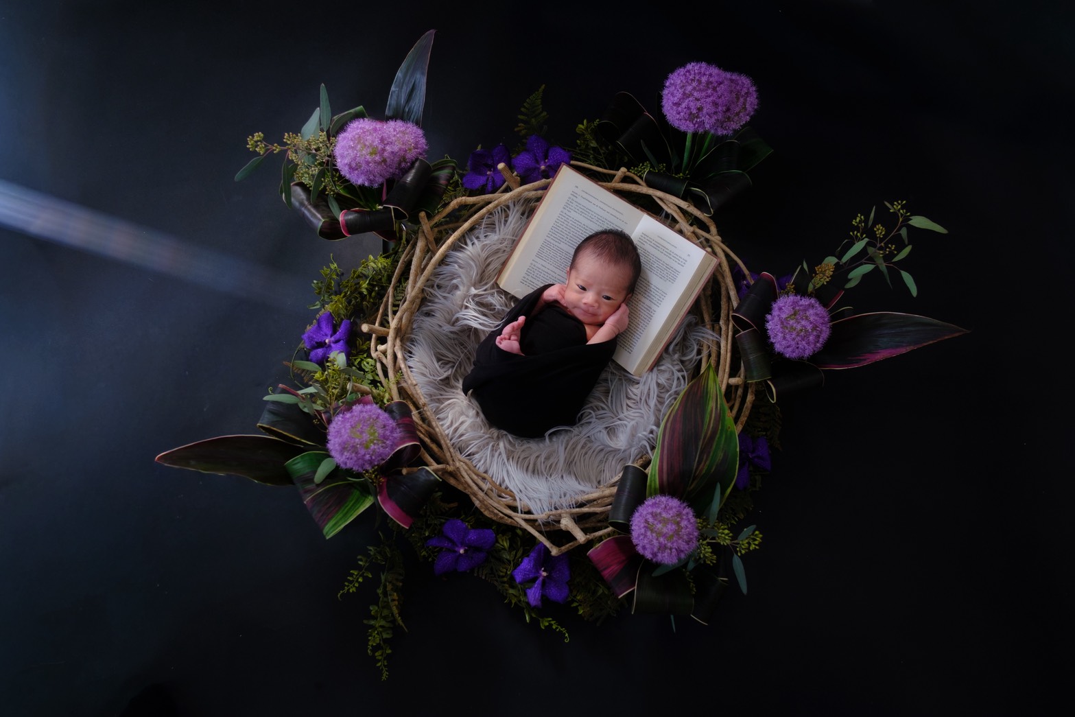 アートニューボーン