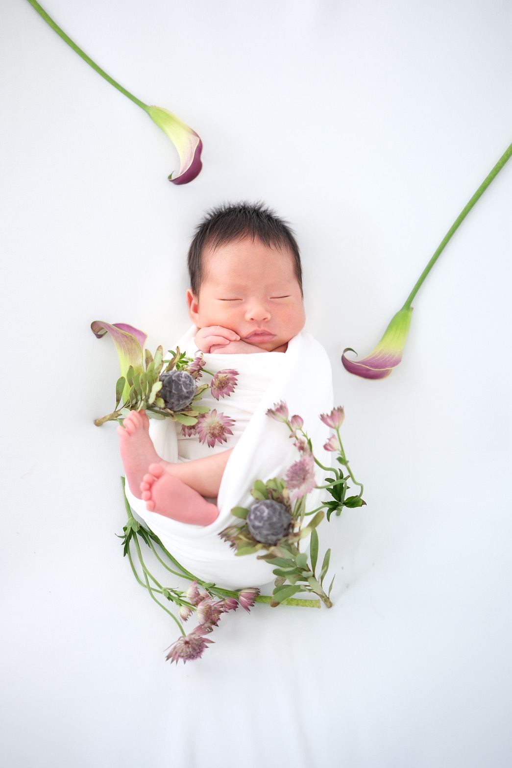 スタンダードニューボーン